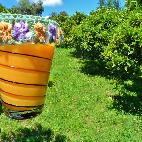 Yummy organic citrus. Large 30 tree orchard
